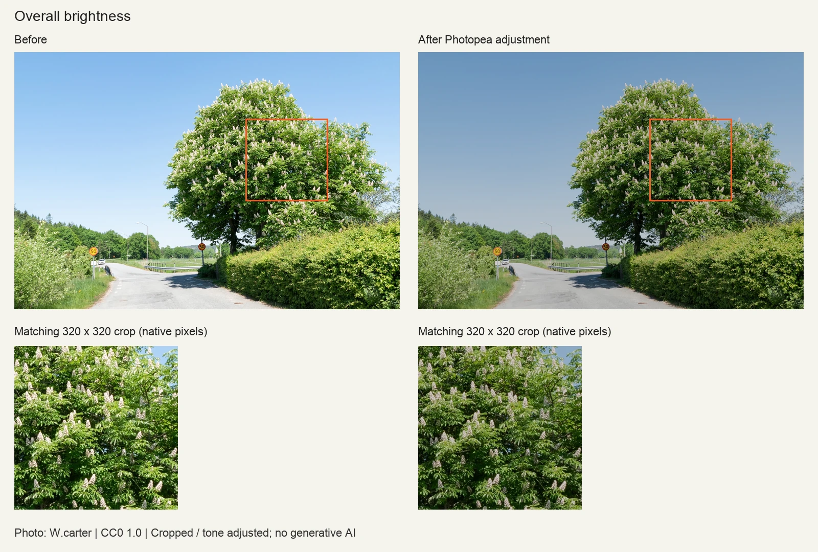 How to Fix Overexposed Photos: What Can You Actually Recover?