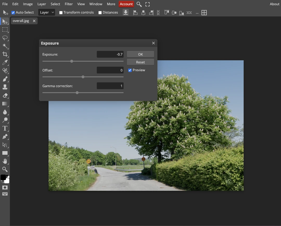 Photopea Exposure dialog showing minus 0.70, Offset zero and Gamma correction one for the tree scene